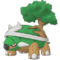 Dawn & Turtwig/Grotle/Torterra