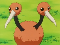 Gary's Doduo