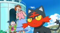 Ash's Litten