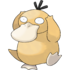 Psyduck