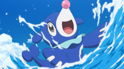 Lana Popplio.png