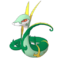 Rosa & Snivy/Servine/Serperior