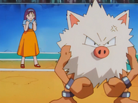 Yumi's Primeape