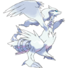 643Reshiram.png