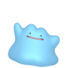 Ditto