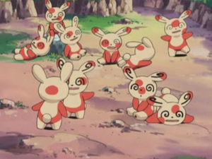 Spinda anime.png