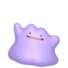 Ditto