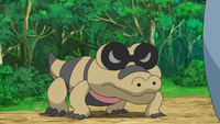 Goh's Sandile