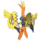 Hau & Tapu Koko