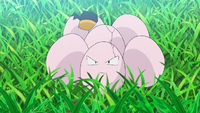 Goh's Exeggcute