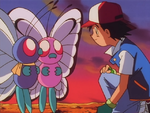 Bye Bye Butterfree