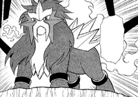 Soro's Entei