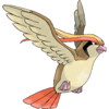 Pidgeot