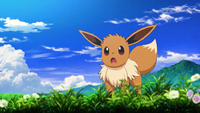 Risa's Eevee