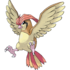 Pidgeotto