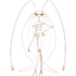 Pheromosa