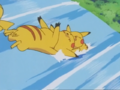 The leader Pikachu's tail