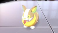 Sonia's Yamper