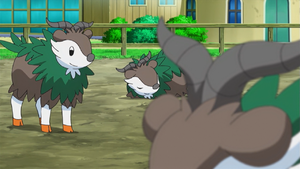 Skiddo anime.png