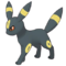 Selene & Umbreon