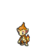 Chimchar