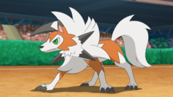 Ash Lycanroc.png