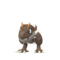 Tyrunt