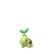 Turtwig