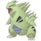 Brock & Tyranitar