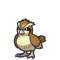 Pidgey