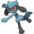 Riolu