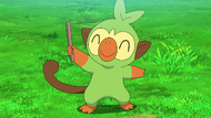 Goh Grookey.png