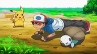 Oshawott's Lost Scalchop!