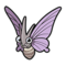 Venomoth