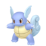 Wartortle