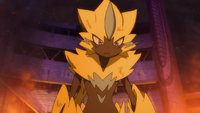 Margo's Zeraora