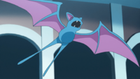 Rapp's Zubat (×3)