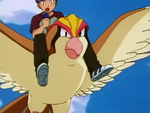 Rudy Pidgeot.png