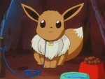 Mikey Eevee.png