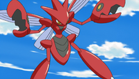 McCann's Scizor