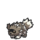 Zigzagoon