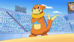 Ash Buizel.png