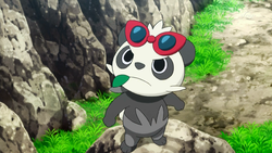 Ash Pancham.png