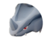 Rhyhorn