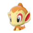 Chimchar