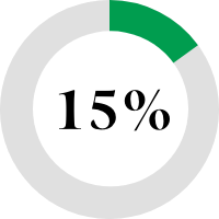 Pie chart showing 15%