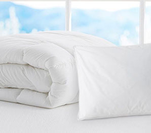 shop bedding basics