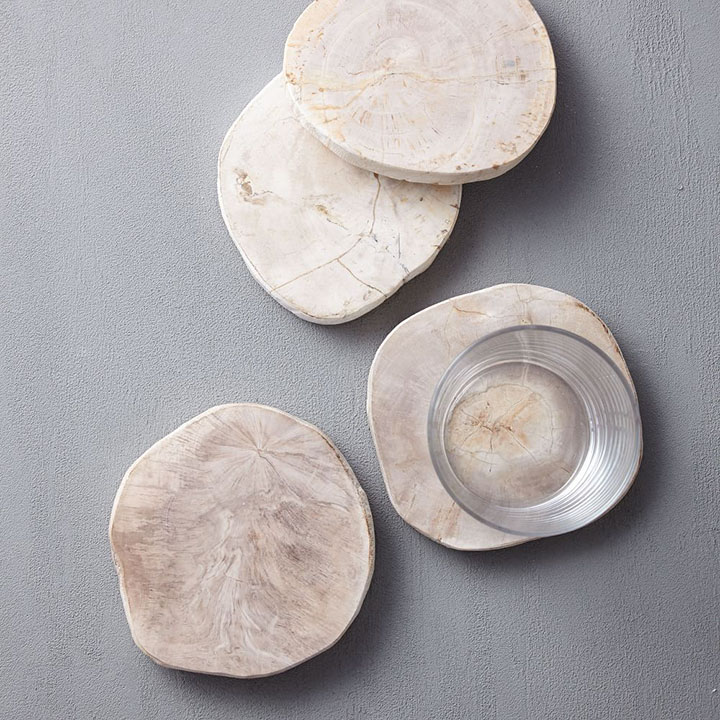 petrified wood coasters