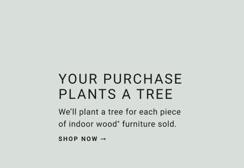 Your Purchase Plants a Tree - Shop Now >