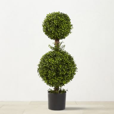 Boxwood Shrubs &amp; Topiaries